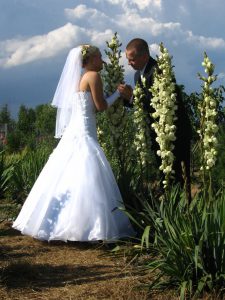 kwiaty-wesele-sala-dom-weselny-antalia